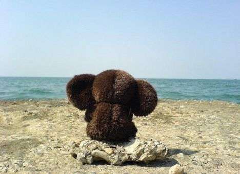 Завтра РФ отправит в космос самого ушастого космонавта