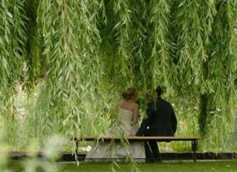 Найден простой рецепт укрепления брака