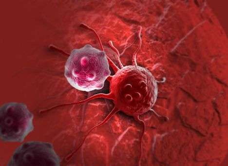 Раскрыта одна из тайн рака