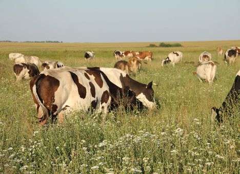 Медики назвали страшную болезнь, заразиться которой можно за секунду