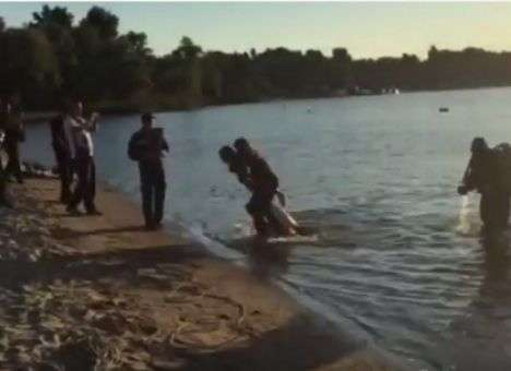 Опубликованы драматические кадры, как на рассвете в Киеве доставали тело утопленника (ВИДЕО)