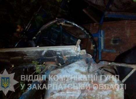 Влюбленные львовяне, спеша на предсвадебную фотосъемку, рухнули с горы (ФОТО)