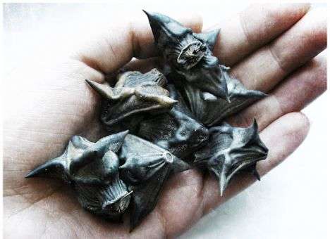 Чертов орех губит киевскую рыбу