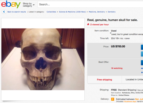 На eBay запретили продавать человеческие черепа