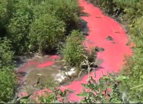 Под Киевом река стала цвета крови (ВИДЕО)