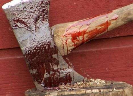 Сценарий фильма ужасов разыгрался в немецком поезде (ФОТО)