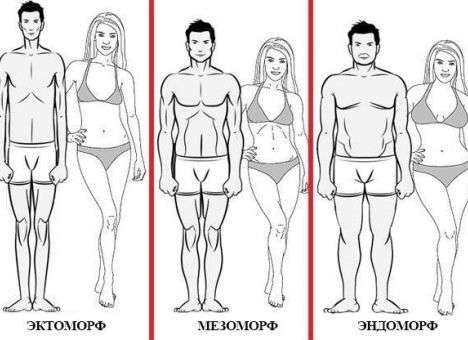 От лишних килограммов защитит питание по типу фигуры