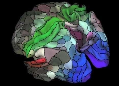 Нейрофизиологи составили первую точную карту человеческого мозга