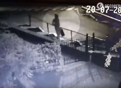 Ищите женщину: Новый оборот приняло дело об убийстве Шеремета (ВИДЕО)