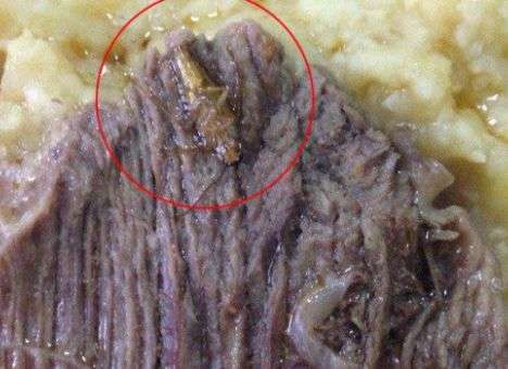 Бирюков показал лапки и крылышки, торчащие из еды для солдат (ФОТО)