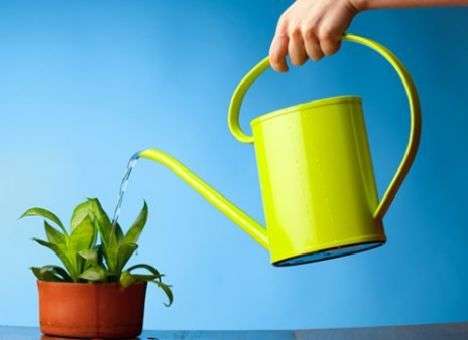 Укрепить психическое здоровье помогут растения – медики