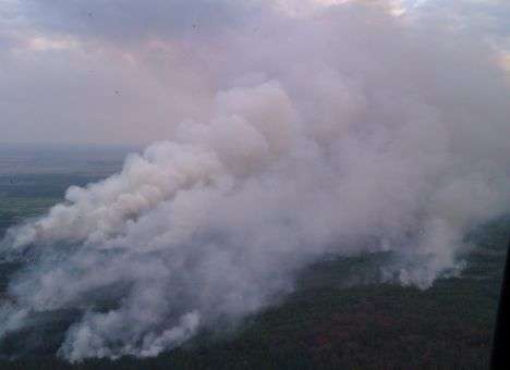 В Чернобыльской зоне масштабный пожар