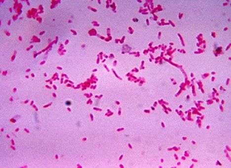 Медики назвали грязный рот причиной рака (ИНФОГРАФИКА)