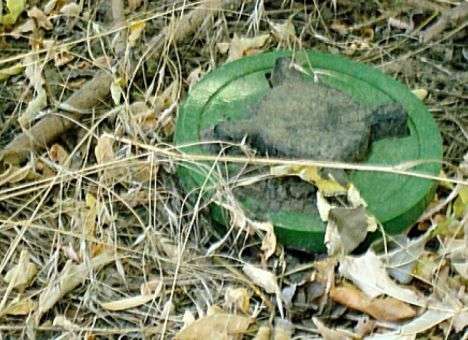 Мины и растяжки ставят все подряд, не делая даже карт минных полей - снайпер