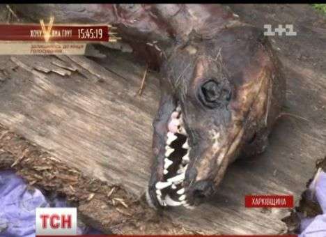 Таинственный монстр пугает украинцев уже пять лет