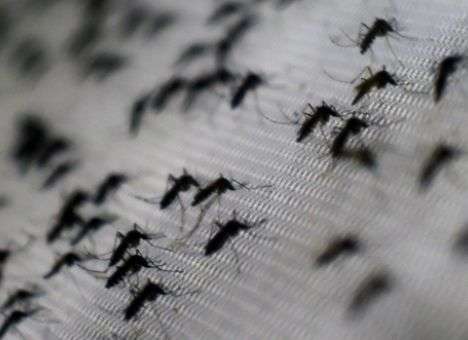 Сейчас лучше не ездить: Туристы могут завезти в Украину опасную болезнь