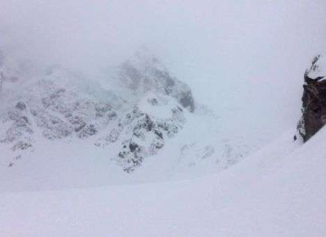 Ученые бьются над загадкой природы, убившей 9 пастухов