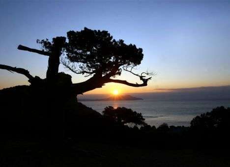 Крым не ждите: Медведчук сделал скандальное заявление