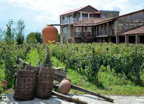 В ботаническом саду появятся 12 регионов Грузии