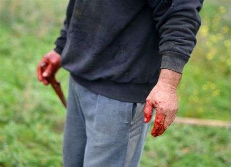 По Москве бегает парень с трупами в пакетах, - СМИ