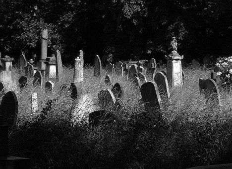 Женщина выбросила младенца на кладбище, скрывая измену