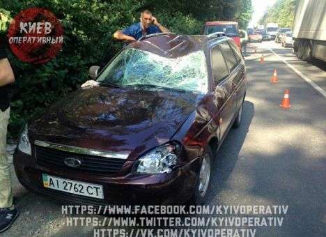 В Киеве под колеса авто бросился лось (ФОТО)