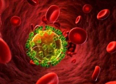 От чего зависит успех лечения ВИЧ, выяснили медики