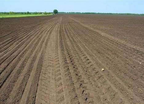 Представителей МВФ убедили, что в Украине надо продавать не землю, а право на ее аренду