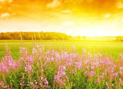 Синоптики сообщили о продолжении лета