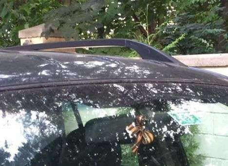 Во Львове наказали водителя авто с георгиевской ленточкой в салоне (ФОТО)