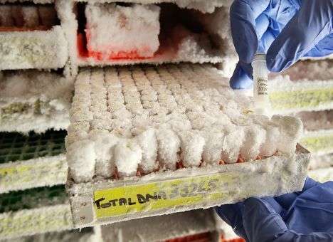 В Китае откроется первый генный банк