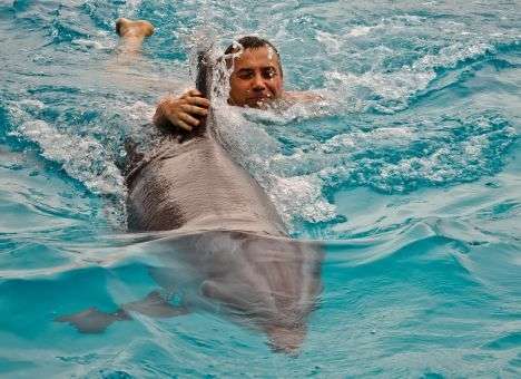 «Люди моря» стали лекарями бойцов АТО (ФОТО)