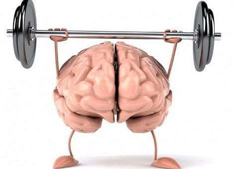 Как привести себя в идеальную умственную и физическую форму, рассказали ученые