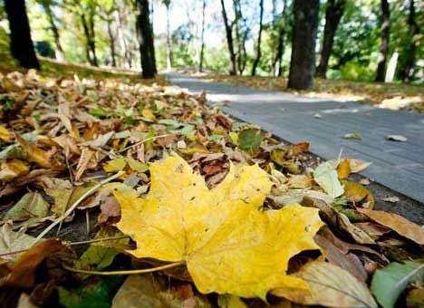 Погода приятно удивит украинцев