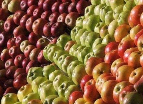 От каких болезней защитит употребление одного яблока в день, рассказали врачи