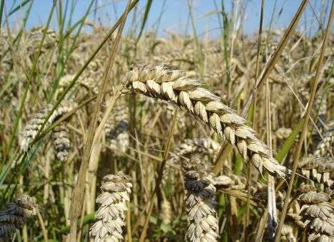 Российский министр ослушался Путина