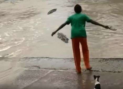 Заинтересовавшись щенком, аллигатор едва не был избит женским шлепанцем (ВИДЕО)