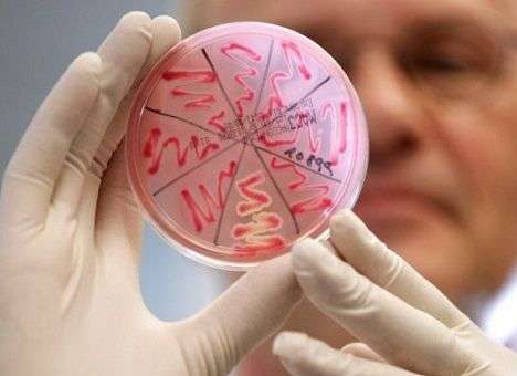 Эксперты предупредили о надвигающейся эпидемии