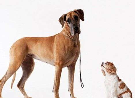 Специалисты назвали секрет эффективной потери веса