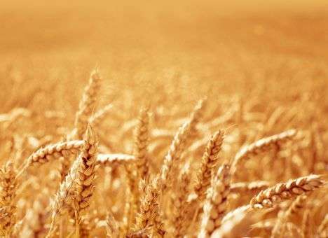 «Одесский каравай» выпускает батоны в честь Дюка де Ришелье и Потемкина (ФОТО)