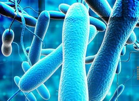 Новая беда пришла на Гаити после масштабного урагана