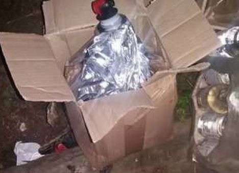 Алкогольный мор в Украине: Названы новые страшные цифры