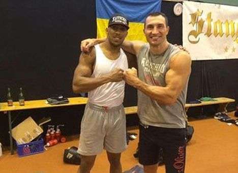 Кличко и Джошуа не могут подписать контракт из-за WBA