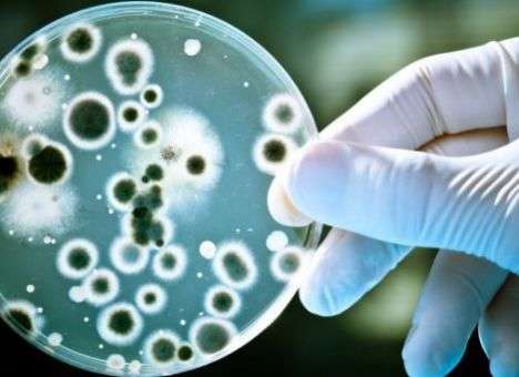 Эксперты названы грязнейшие предметы, к которым мы прикасаемся ежедневно