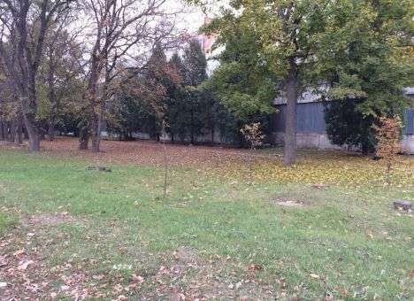 Жуткий «сюрприз» в духе Стивена Кинга нашли дети под елкой