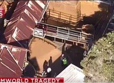 Подробности трагедии в парке развлечений: Женщина погибла на глазах дочерей (ФОТО)