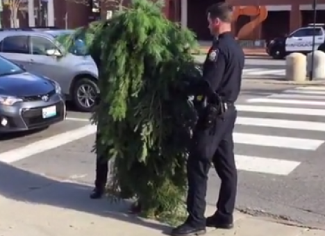 Копы задержали хулигана, прикинувшегося деревом (ВИДЕО)