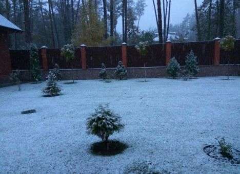 Киевляне сняли первый снег (ВИДЕО)