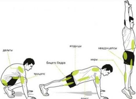 Названы три самых эффективных упражнения для фигуры 90-60-90