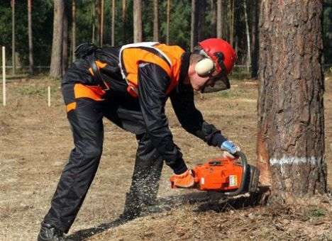 Боевики нанесли мощный удар по экологии Украины
